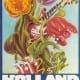 Alan Aldridge - Holland Pop Festival