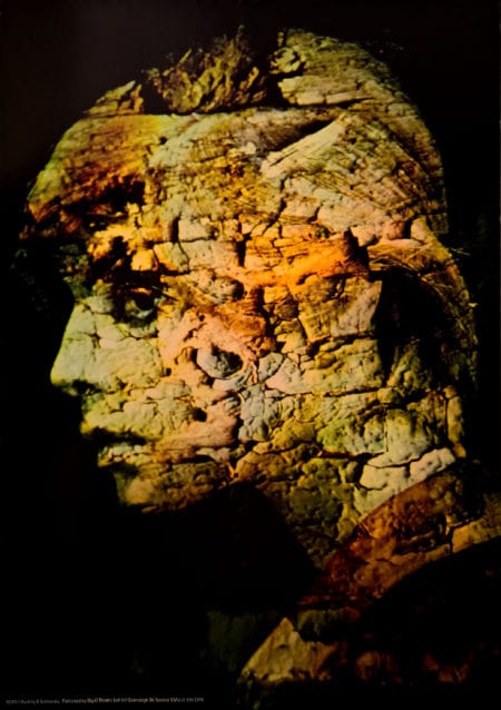 Bark - Image 2