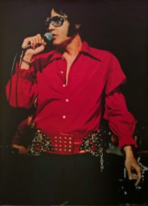 Elvis in Action